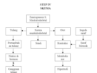 MODUL VI SKENARIO 6 :  ATLET - LO (embryogenesis sistem muskuloskeletal)