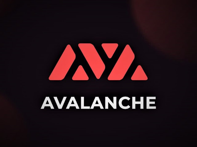 What is the Avalanche digital currency