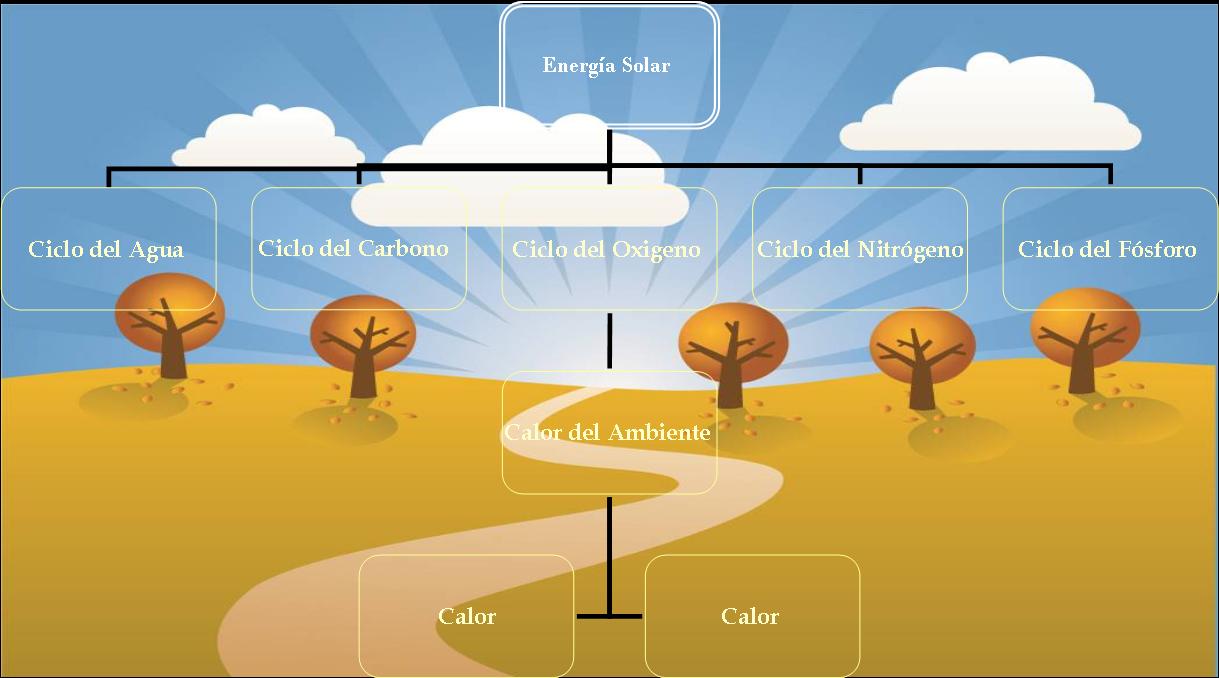 Ciclo Energético de la Materia