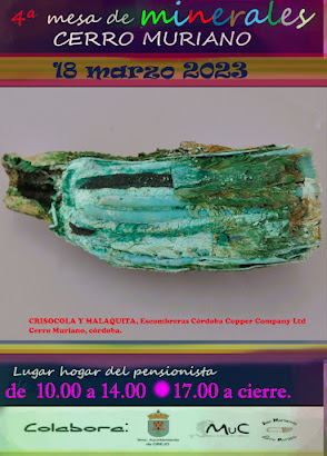 4ª mesa de minerales de Cerro Muriano en CÓRDOBA 321985748_6120027591342071_5750402410210622133_n