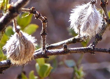 P1000108