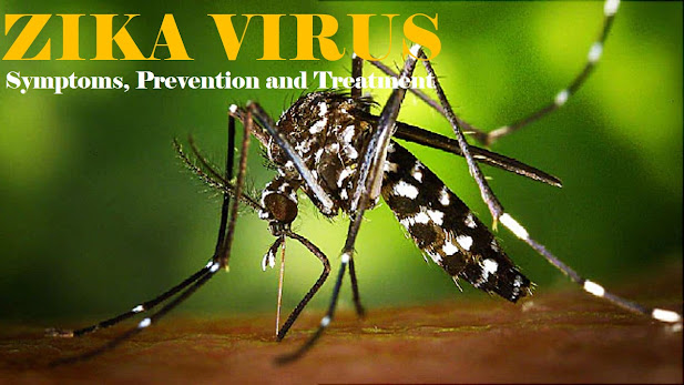 Zika Virus cases reported in India : Symptoms, Prevention and Treatment