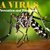  Zika Virus cases reported in India : Symptoms, Prevention and Treatment