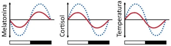 HOOD & AMIR, 2017. “The aging clock: circadian rhythms and later life”.