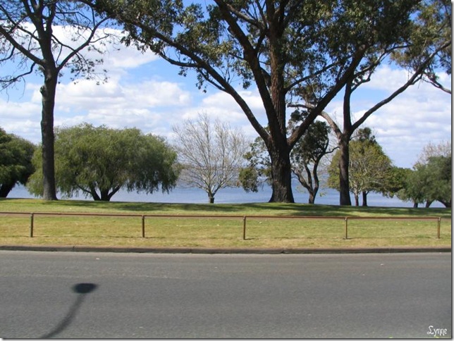 The view of Matilda Bay from across the road, at the UWA campus.