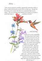 Hummingbird Graphics