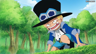 ワンピースアニメ 499話 サボ 幼少期 | ONE PIECE Episode 499 ASL