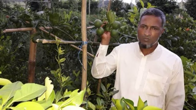 নার্সারীর সফল কারিগর আব্দুল মজিদের