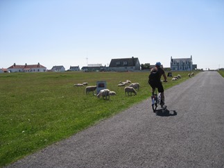 IMG_1890