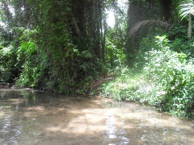 FONTE DOS BREJOS: UM PATRIMÔNIO AMBIENTAL DO NOSSO MUNICIPIO