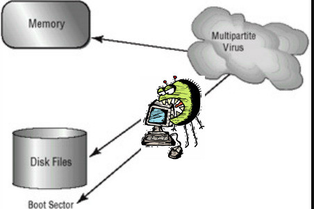Komputer virus multipartite
