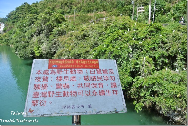 鷺鷥公寓 (2)