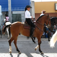 Ciudad Colon Tope