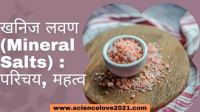 खनिज लवण (Mineral Salts) : परिचय, महत्व|hindi