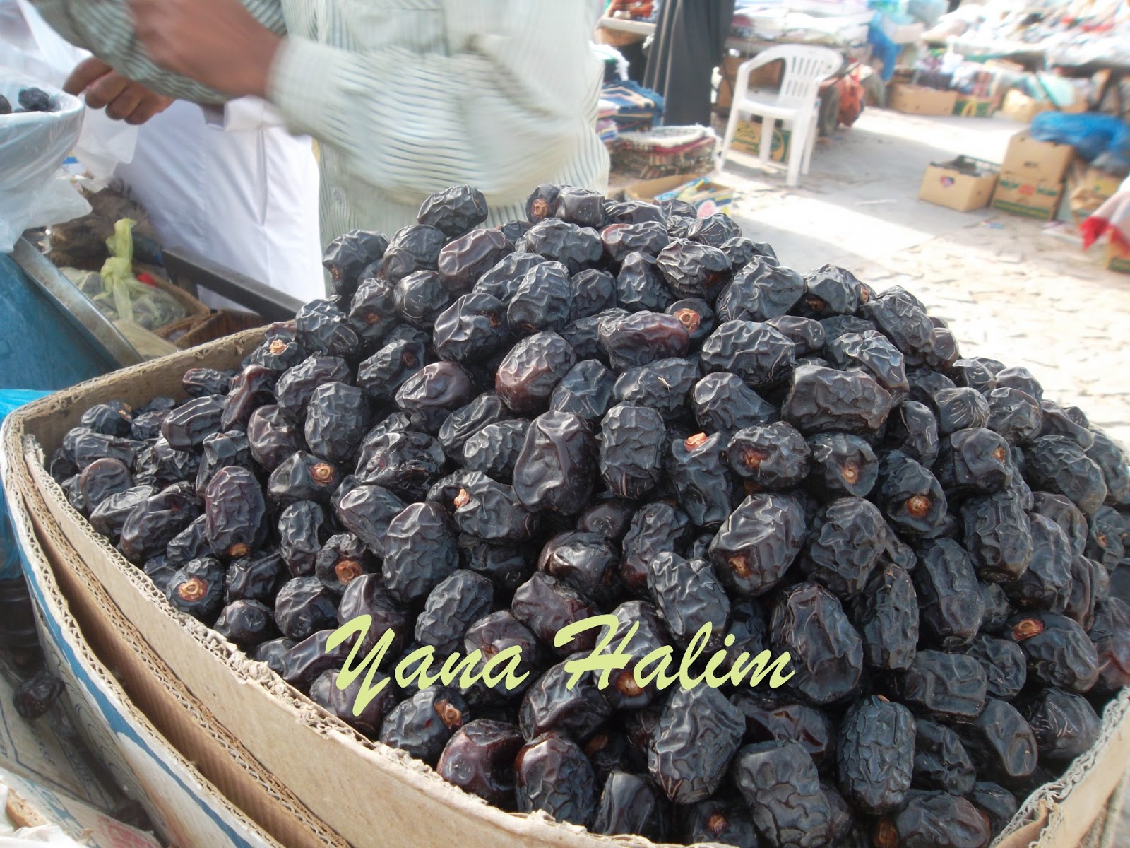 area  yang di  Jabal saya kurma ajwa beli  ajwa di 70 Tamar Pasar sekilo SR kurma warna