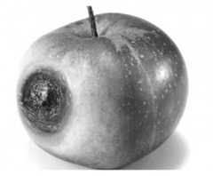 Manzana2-300x247