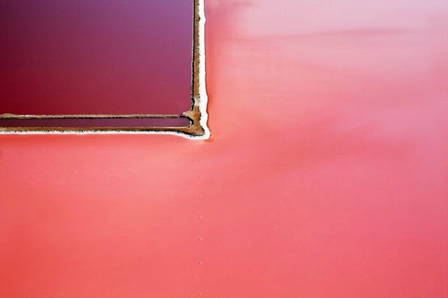 Pink Hutt Lagoon, Australia