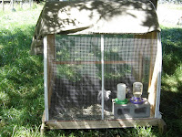 Right side of Coop With 1/2 inch wire mesh attached to PVC Hoops