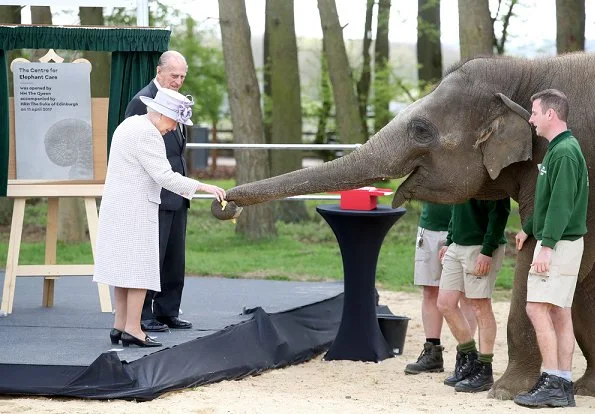 Queen Elizabeth and Prince Philip met the Head Elephant Keeper and view the elephant team carrying out daily care tasks such as nail filing and mouth care