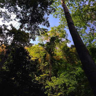 Gua Kelam, Perlis