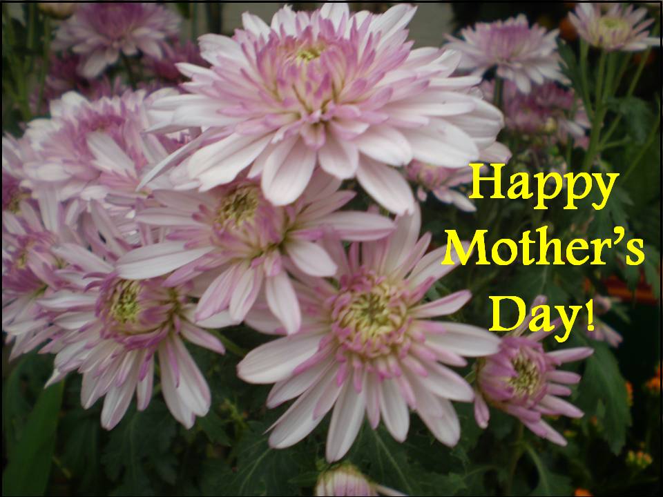 mothers day cards for children to make. mothers day cards for children