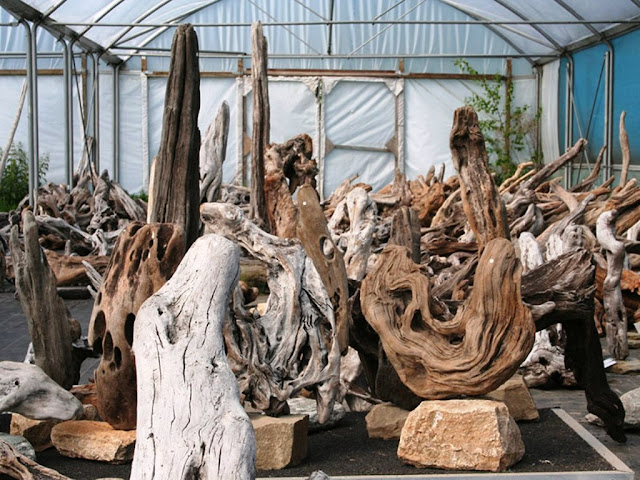 driftwood sculpture ideas