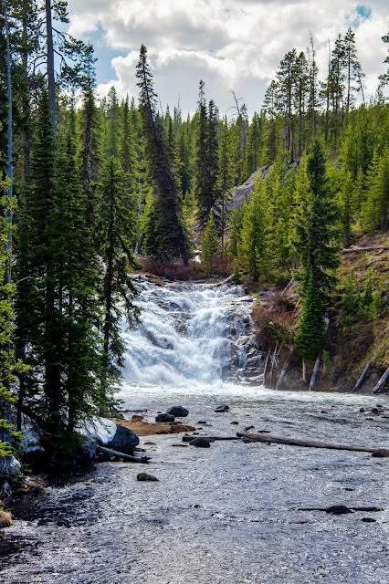 Lewis Falls on the Lewis River Yellowstone National Park