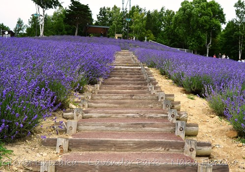 Glória Ishizaka - Naka Furano - Hokkaido 30