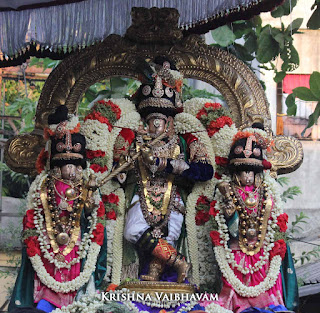 Sri Narasimha Swamy, Dhavana Utsavam, Venugoplan Thirukkolam,Theliya Singar, Azhaiya Singar,Thirumanjanam, Purappadu,  Triplicane,  Purappadu, Thiruvallikeni, Utsavam