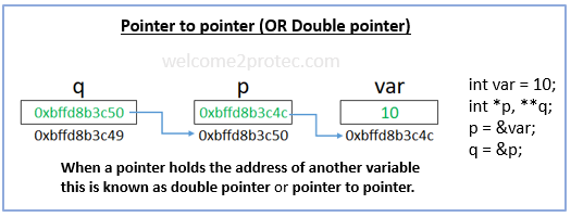 Pointer to pointer Or Double pointer | welcome2protec.com