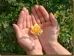 flormao