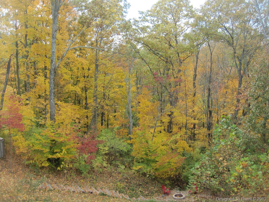 Fall by the Fire Pit