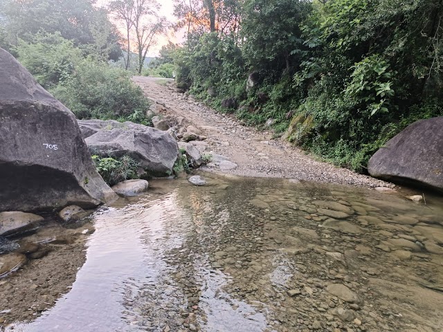 भराडू छांब सड़क की टारिंग उखड़ी, माकपा नेता कुशाल भारद्वाज ने गुणवता पर उठाए सवाल