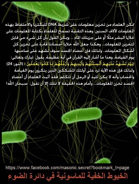 العلم يرفع بيوتا لا عماد لها والجهل يهدم بيت العز والكرم...