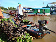 Delta do Rio Parnaiba Piauí Brasil