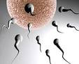 Treatment for infertility in men | women