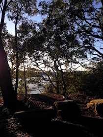 Mornings at Oatley Park