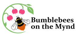 Bumblebees on the Mynd logo