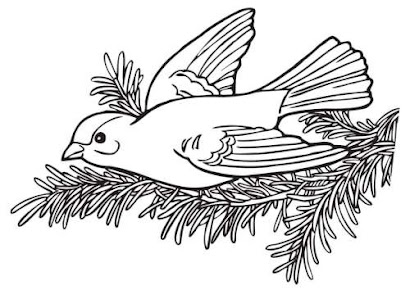 Birds Coloring Pages - Printable Birds Coloring Pictures