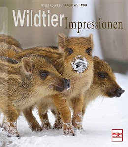 Wildtier-Impressionen