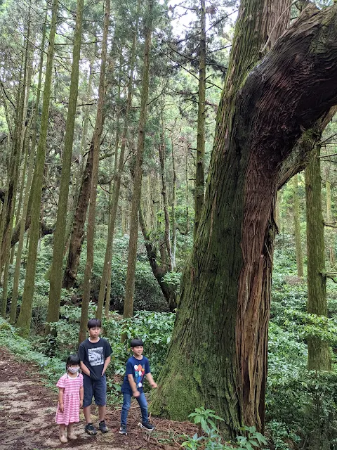 岩戸神社はパワースポット感が半端ない聖地でした！