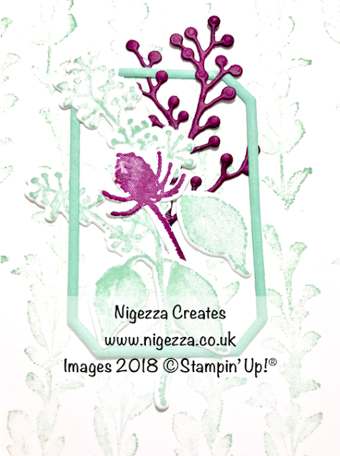 Nigezza Creates Frosted floral 