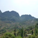View album