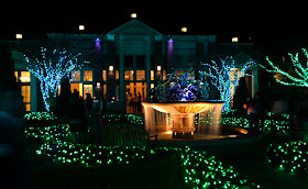 Garden Lights, Holiday Nights | December 2013 | Levy Parterre