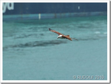 20100717 CMB 3791-1