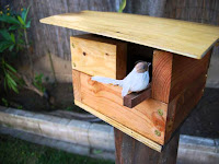 Robin Bird House Design