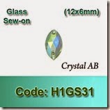 H1GS31 copy
