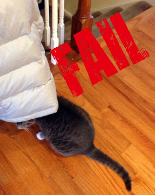 Cat Fail hides