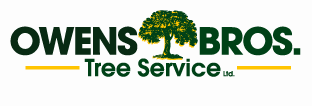 Tree Pruning in Bronx