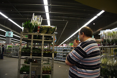 Plant Buying in Aalsmeer, Holland